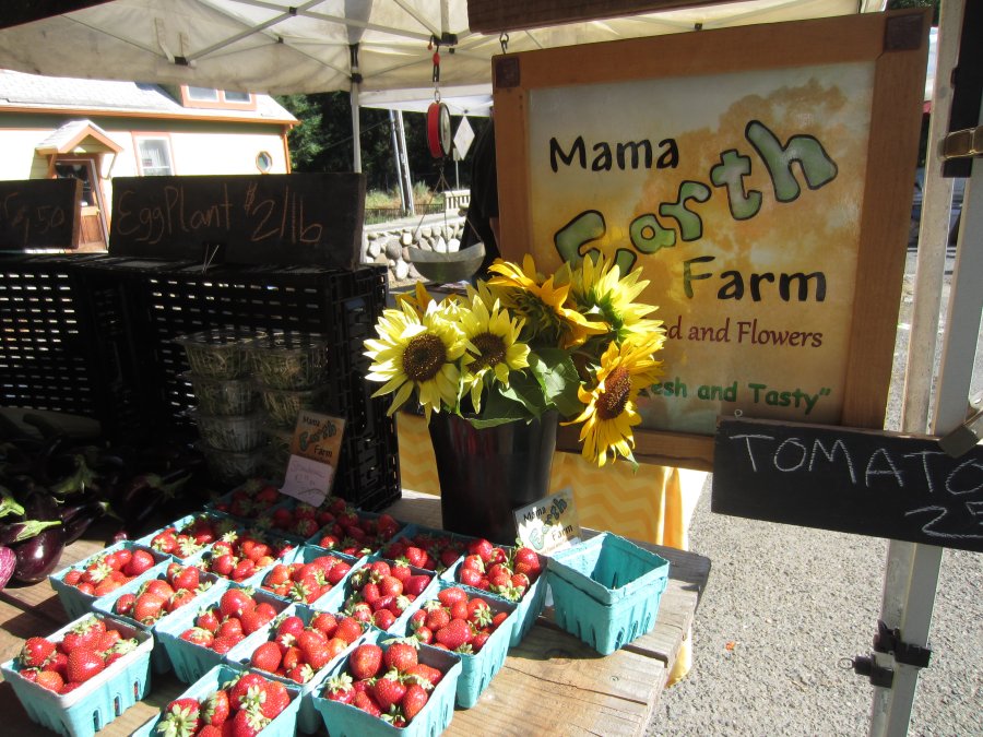 Mama Earth Farm at the Placerville Farmers Market