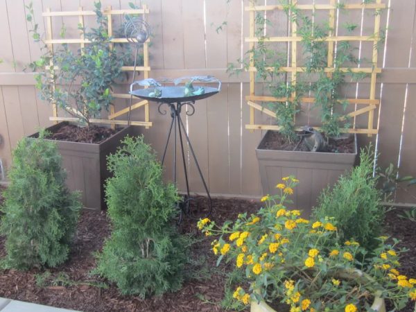 Side view, sod