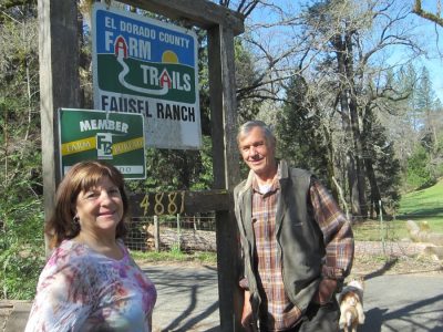 Fausel Ranch